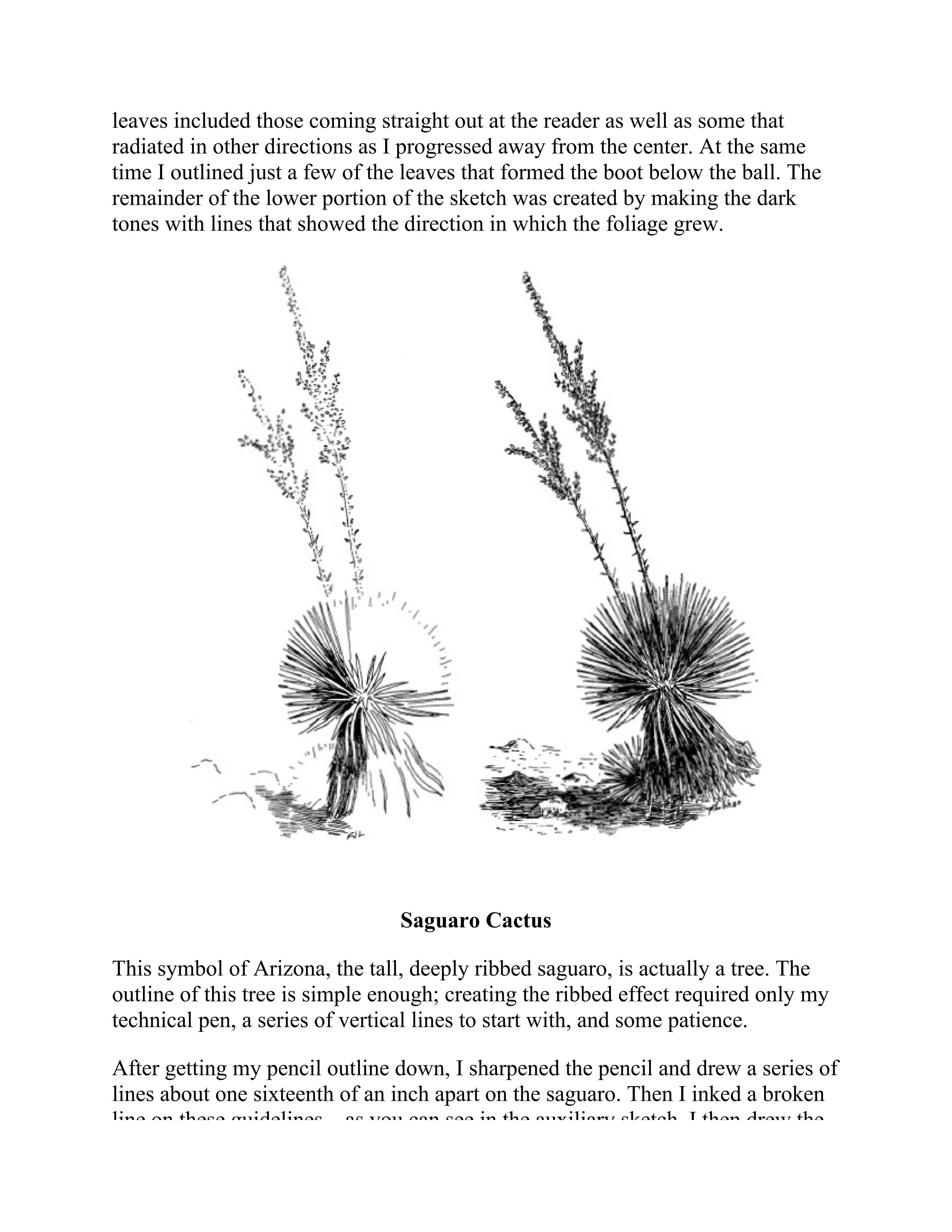 آموزش نقاشی طراحی سیاه قلم شهرری